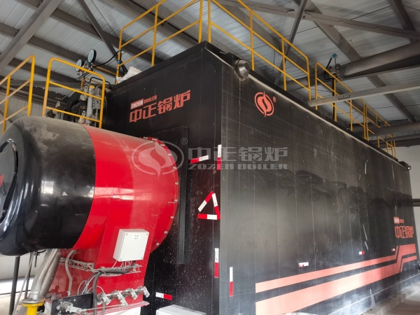 ZOZEN 30-ton SZS series gas-fired boiler