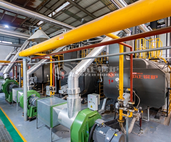 10 TPH Natural Gas Steam Boiler in Heating Industry