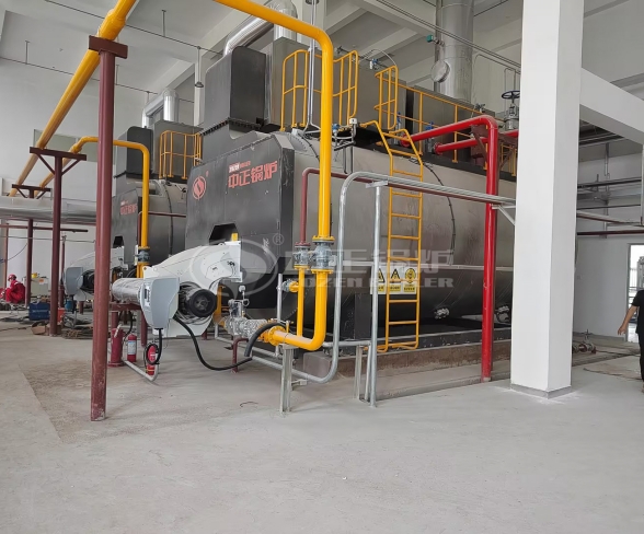 10 TPH Natural Gas Steam Boiler in Other Industry