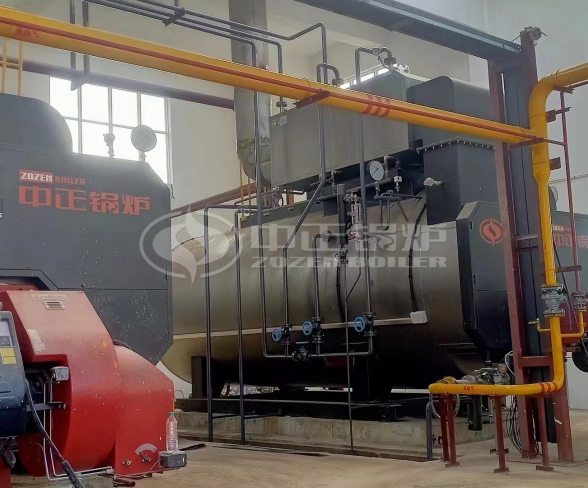 10 TPH Natural Gas Steam Boiler in  Chemical Industry