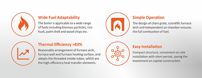 DZL Series Biomass-fired Steam Boiler