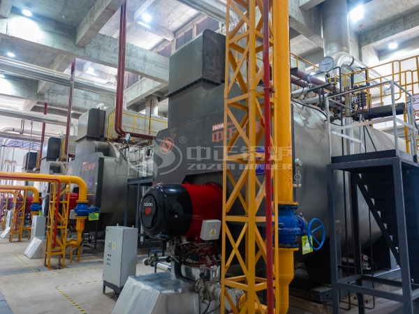 18 tph gas fired steam boilers