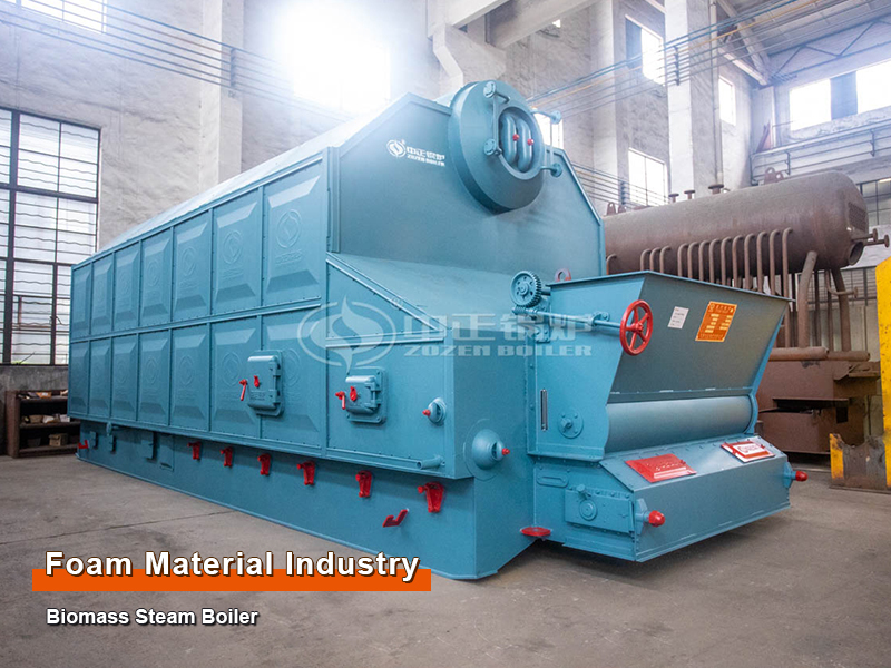 Vietnam 6-ton Biomass Steam Boilers for Foam Material Factory