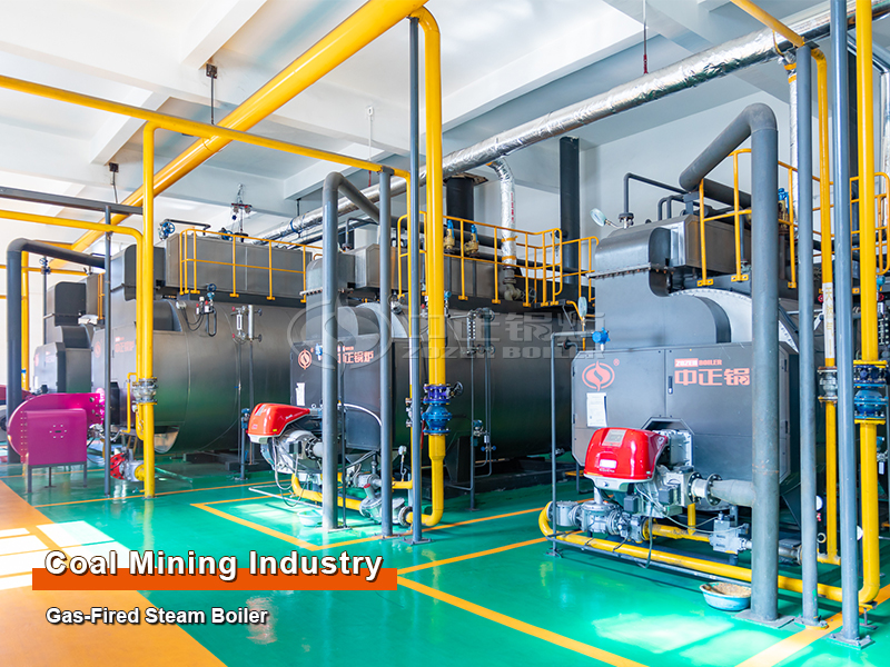 Coal Mining Industry 10 Tons Gas Steam Boiler