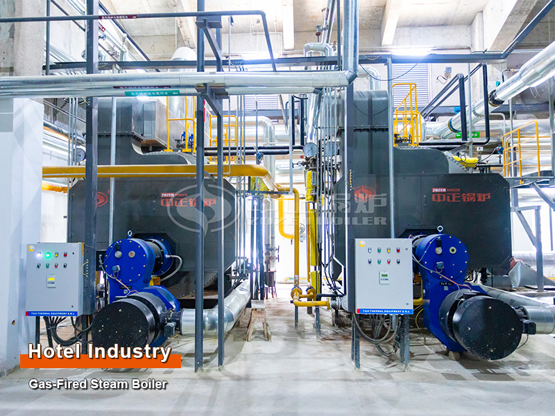 Hotel Industry 6 TPH Natural Gas Steam Boilers