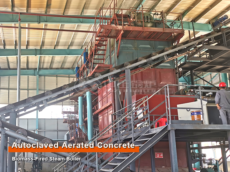 20-ton Biomass Steam Boiler for Autoclaved Aerated Concrete Industry