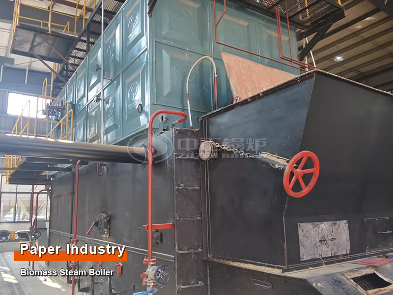 Paper-making Industry Project 6-ton Chain Grate Biomass Fired Steam Boiler