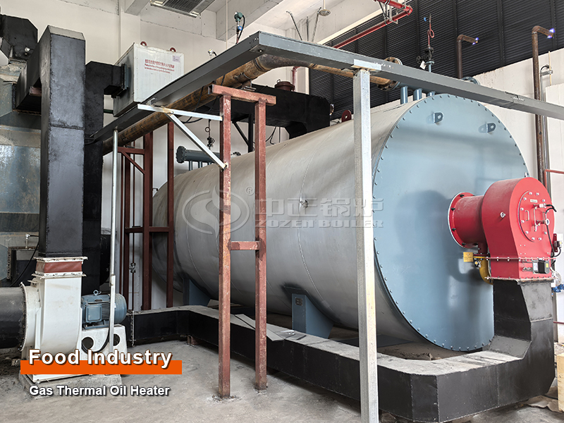 Food Industry  5 Million Kcal Gas-Fired Thermal Oil Heater