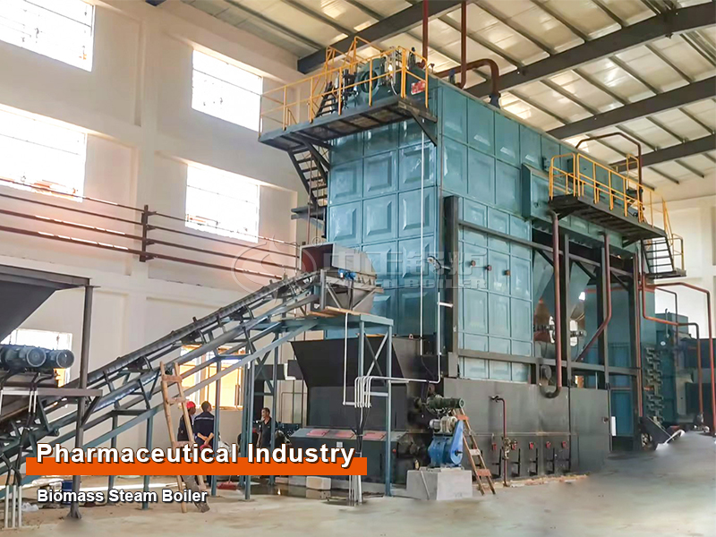 Pharmaceutical industry 15 TPH Biomass-Fired Steam Boiler